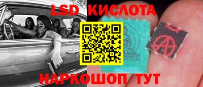 мяу мяу мука Пушкино