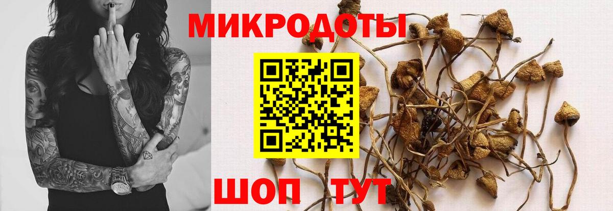 Галлюциногенные грибы мухоморы Белая Калитва